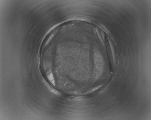 X0000080751028200701121957