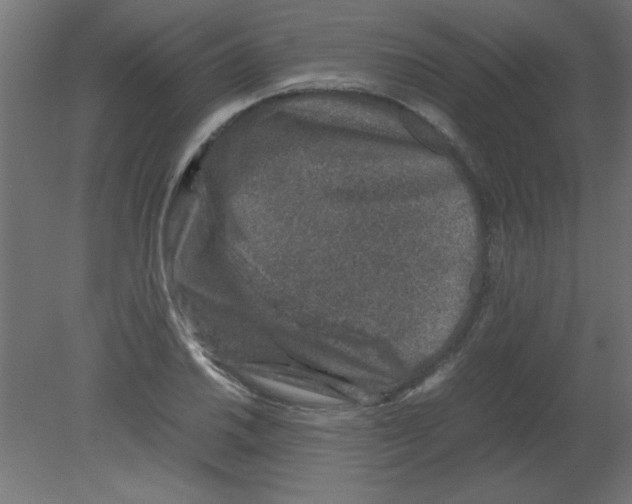 X0000080751030200701121958
