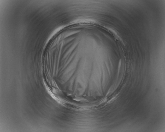 X0000080751038200701121958