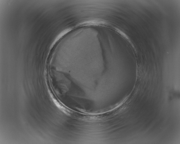 X0000080751042200701121958