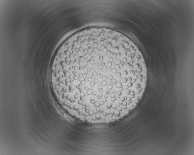 X0000080751044200701121958