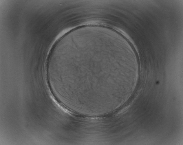 X0000080751045200701121958