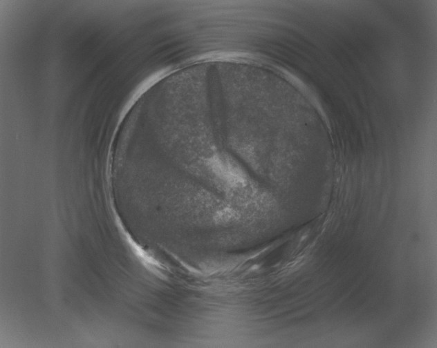 X0000080751050200701121958