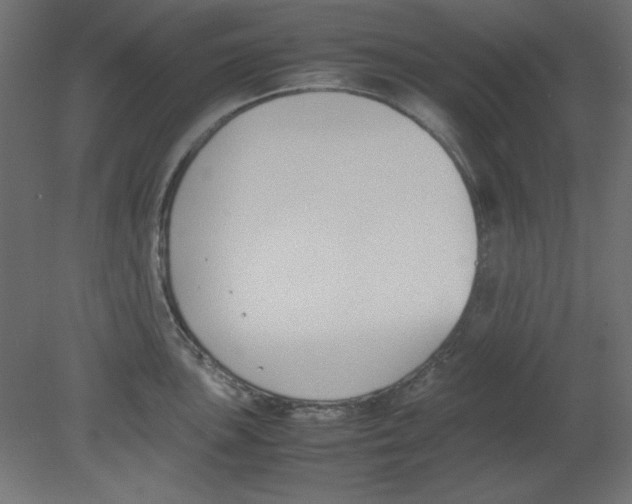 X0000080751051200701121958