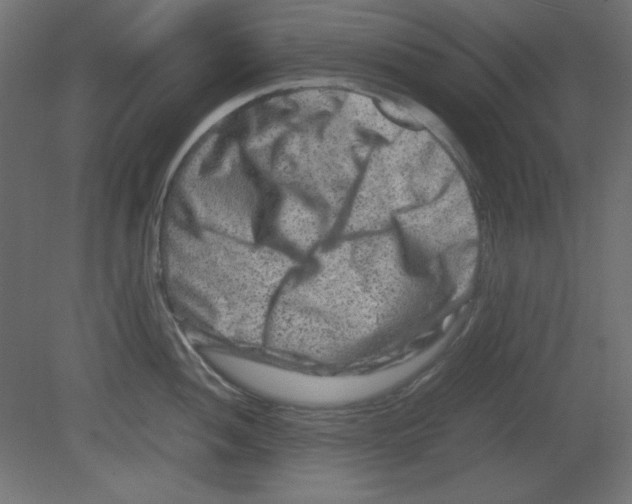 X0000080751052200701121958