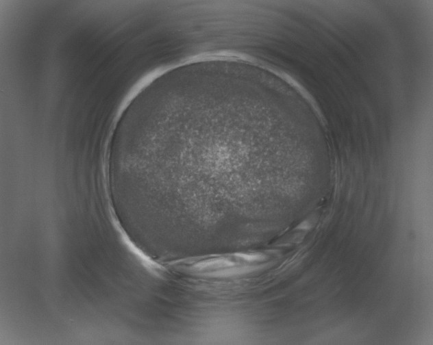 X0000080751054200701121958
