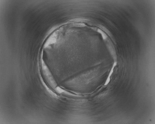 X0000080751055200701121958