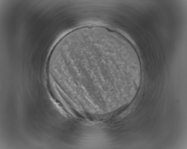 X0000080751056200701121958