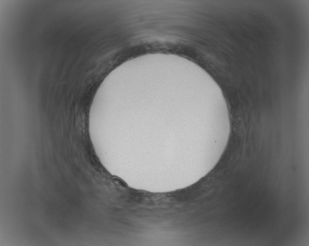 X0000080751061200701121957