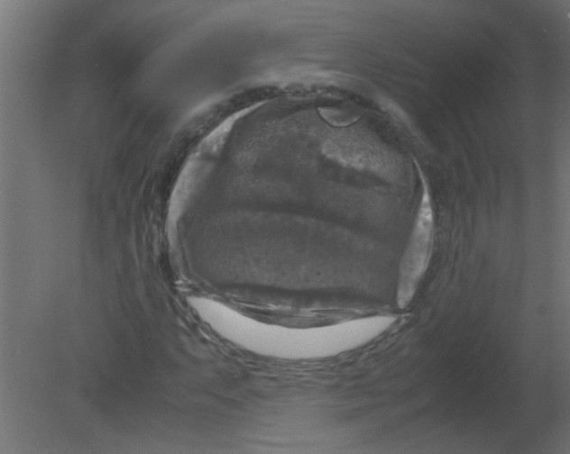 X0000080751063200701121957