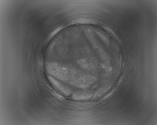 X0000080751065200701121957