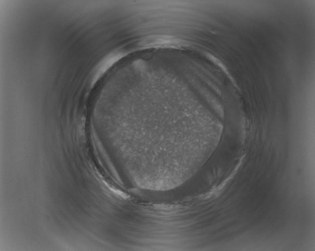 X0000080751066200701121957
