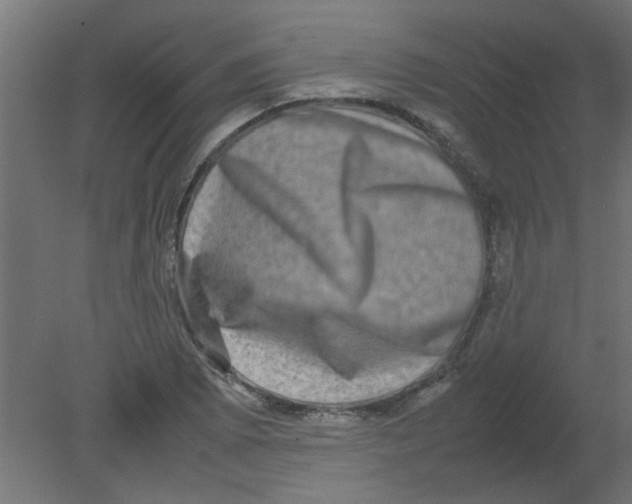 X0000080751073200701121957