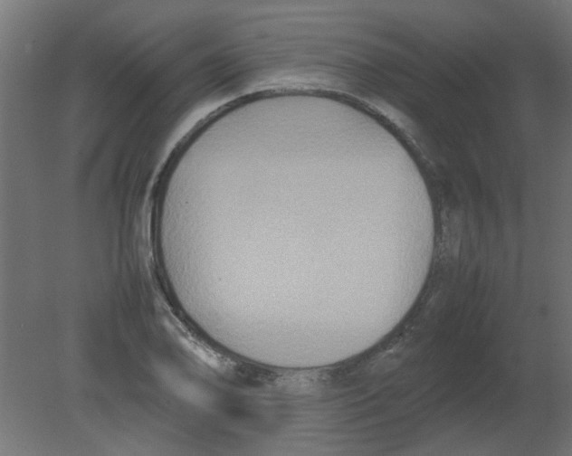 X0000080751078200701121957