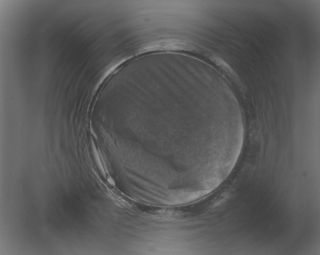 X0000080751081200701121957