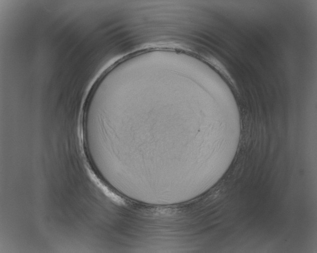 X0000080751084200701121957