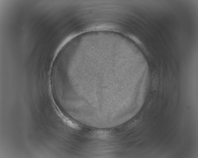 X0000080751086200701121957