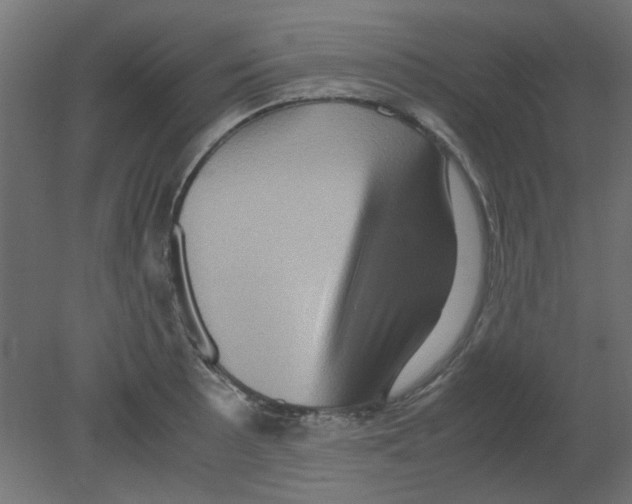 X0000080751089200701121957