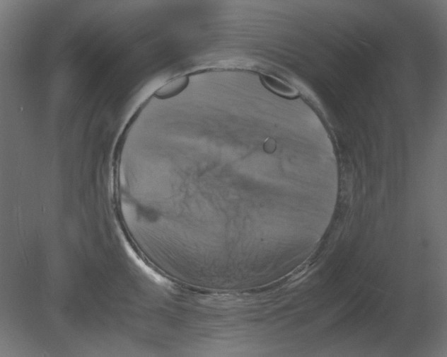X0000080751095200701121956
