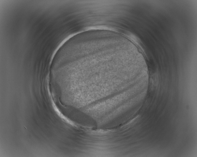 X0000080751100200701121956