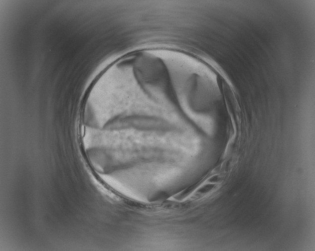 X0000080751101200701121956