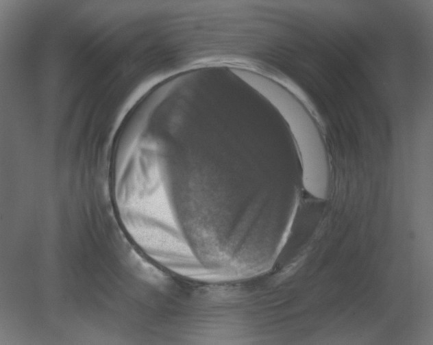X0000080751102200701121956