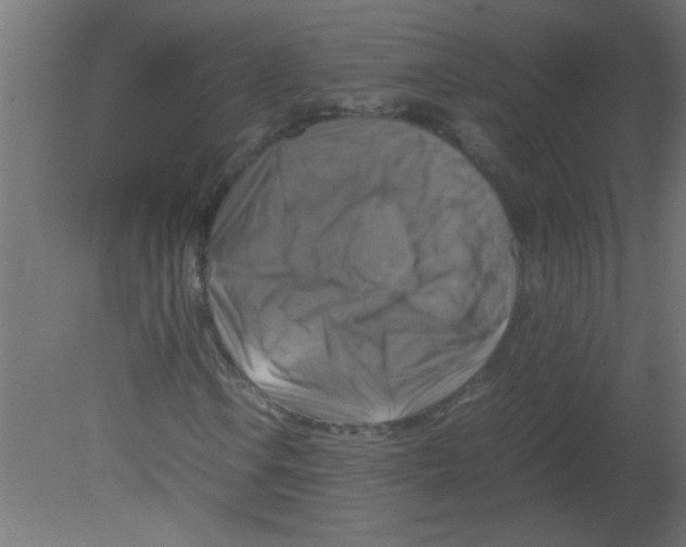 X0000080751106200701121956