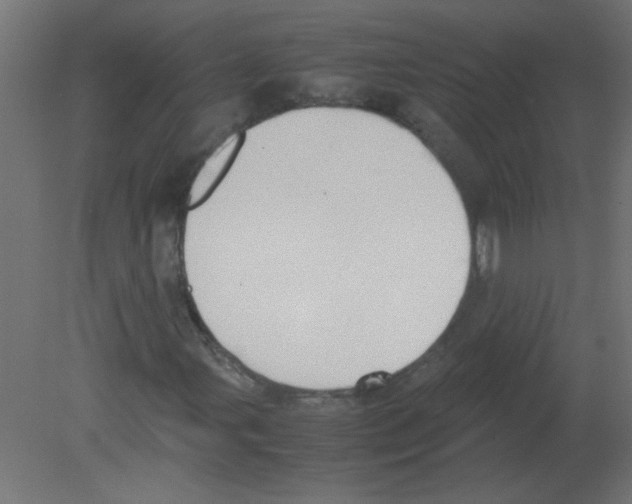 X0000080751107200701121956