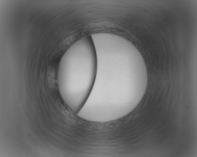 X0000080751108200701121956