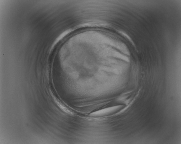 X0000080751114200701121956