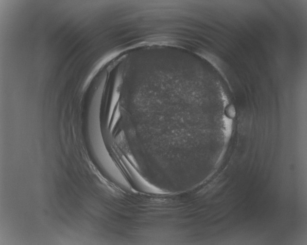 X0000080751115200701121956
