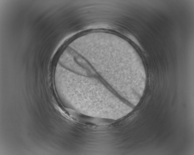 X0000080751116200701121956