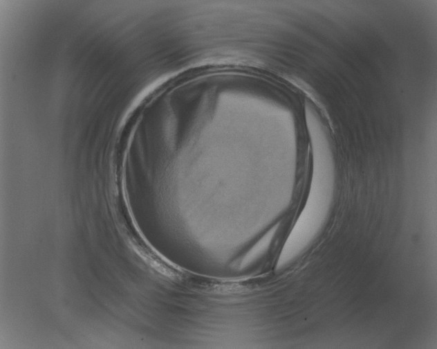 X0000080751120200701121956