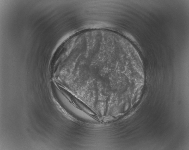 X0000080751122200701121956