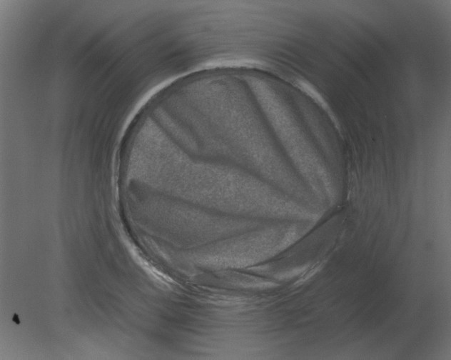 X0000080751124200701121956
