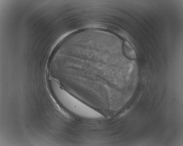 X0000080751125200701121956