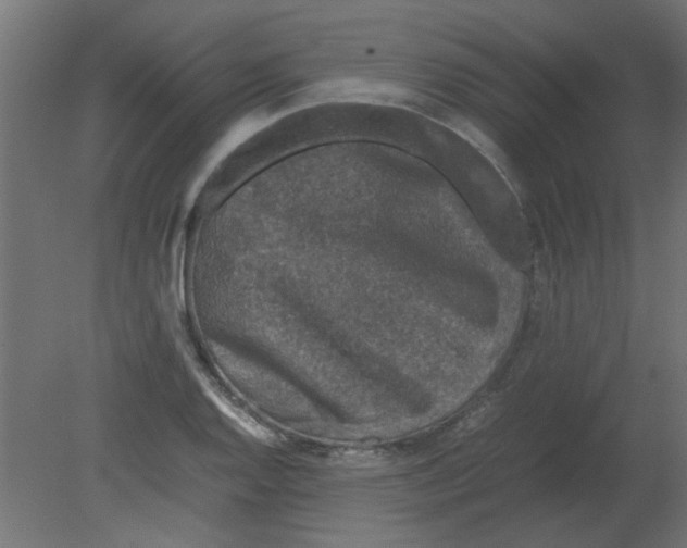 X0000080751128200701121956