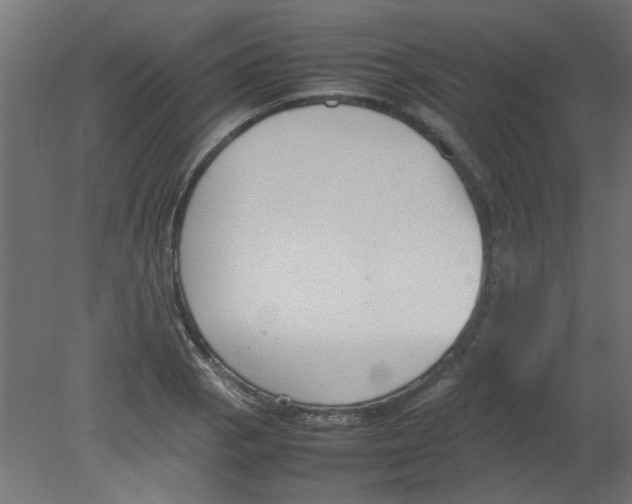 X0000080751129200701121956