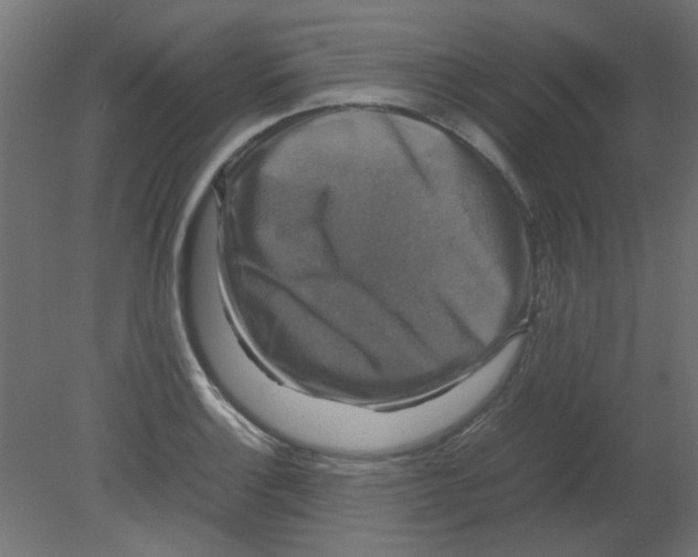 X0000080751132200701121956