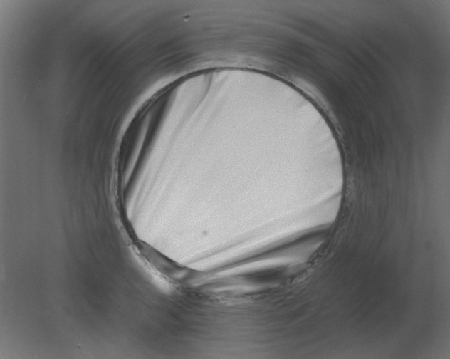 X0000080751136200701121956