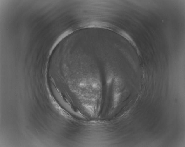 X0000080751138200701121956