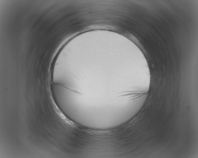 X0000080751140200701121956