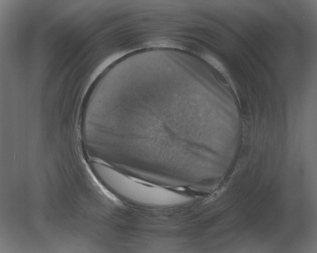 X0000080751141200701121956