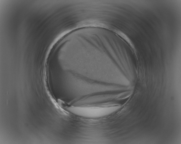 X0000080751144200701121956