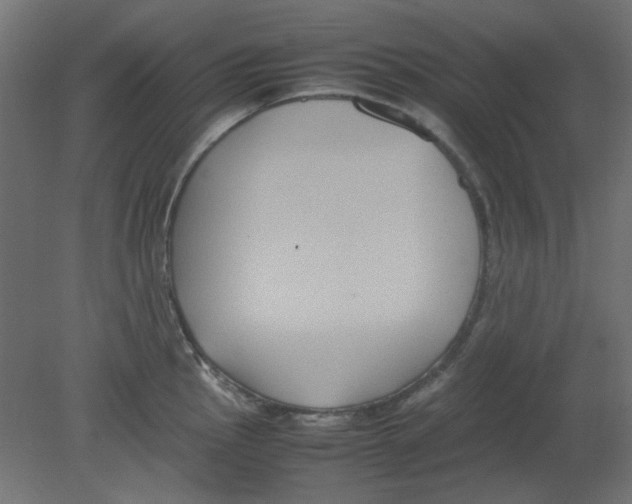 X0000080751145200701121956