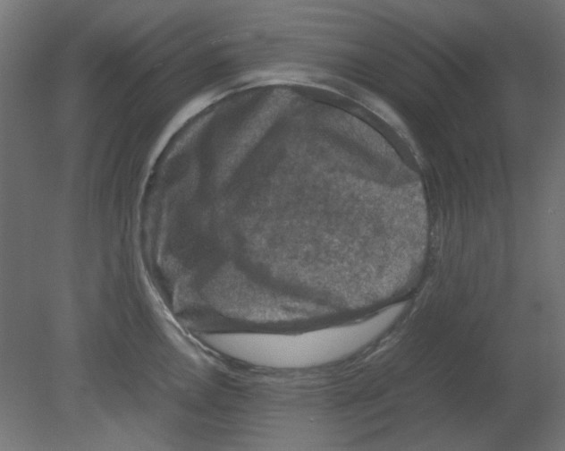 X0000080751146200701121956