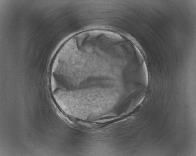 X0000080751148200701121956