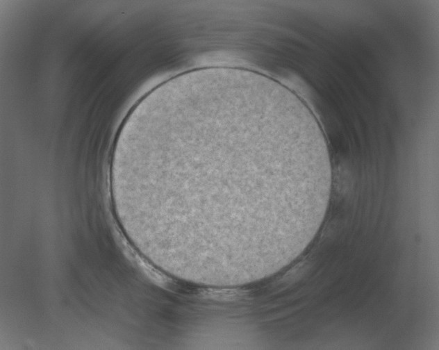 X0000080751150200701121956