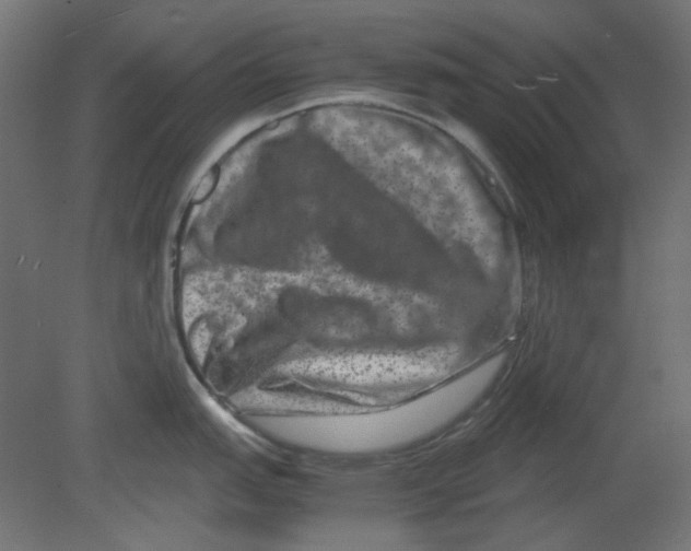 X0000080751151200701121956