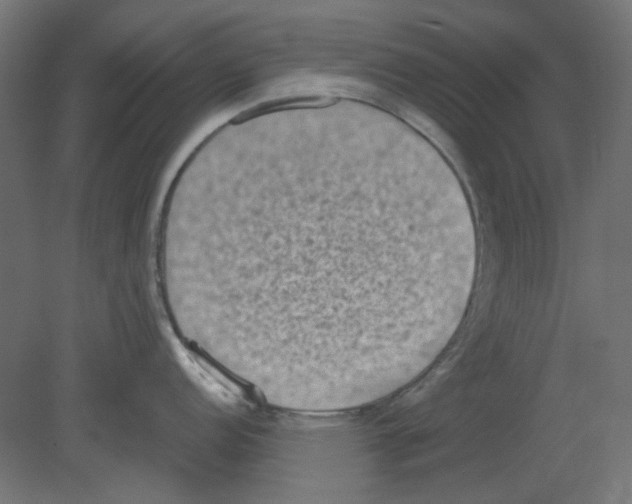 X0000080751152200701121956